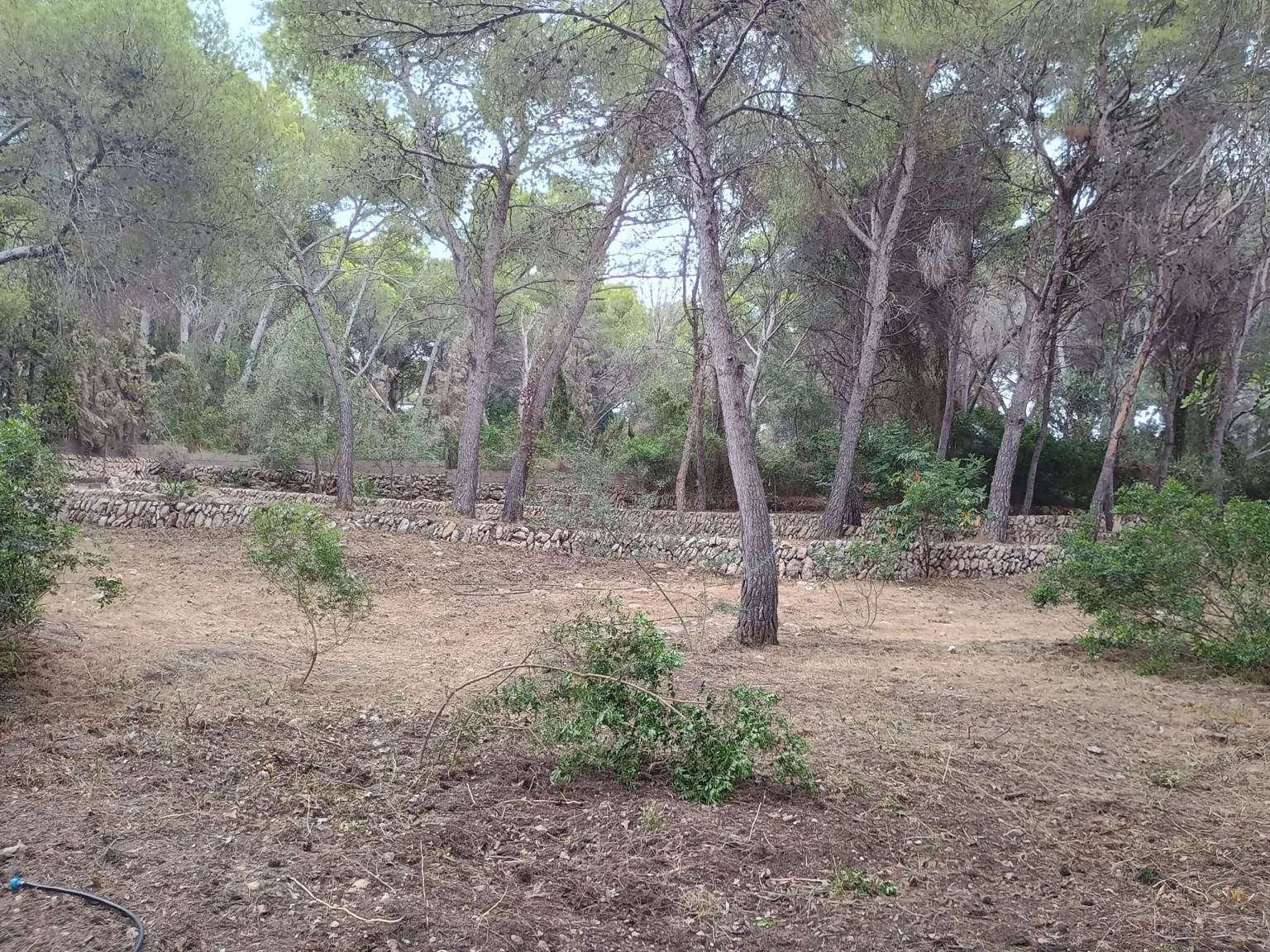 Parcela despejada - Terranova Jávea